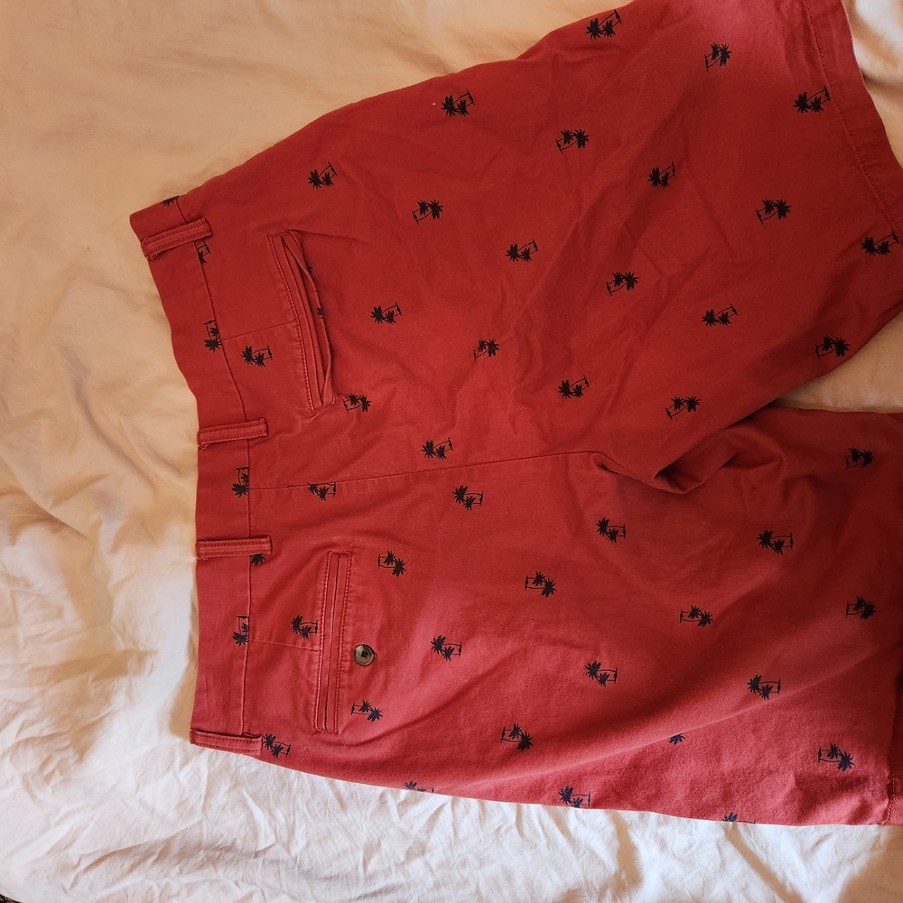 Red Shorts with Palm Tree Print - Picture 5 of 7